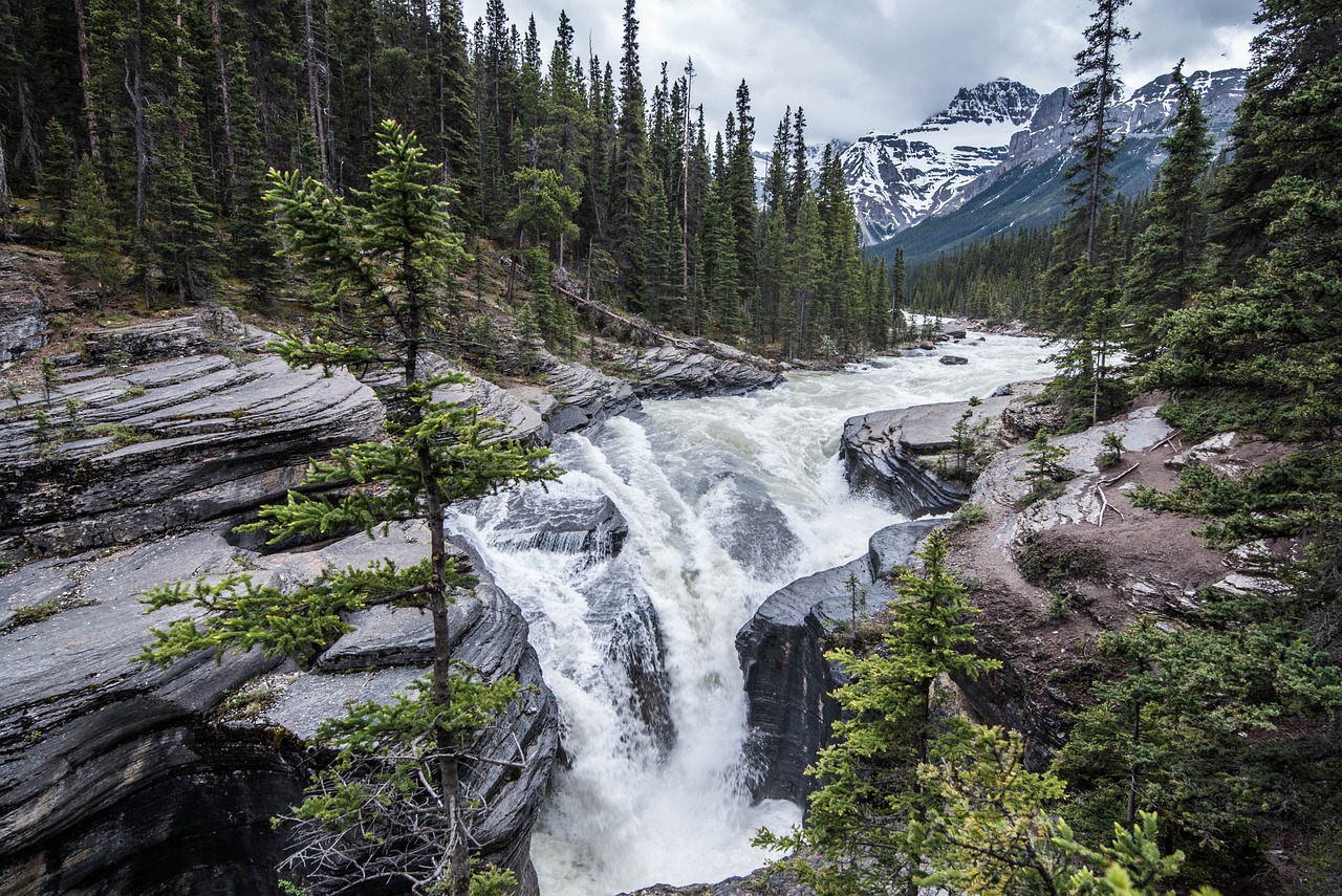 Exploring the Stunning Landscapes of Yosemite National Park